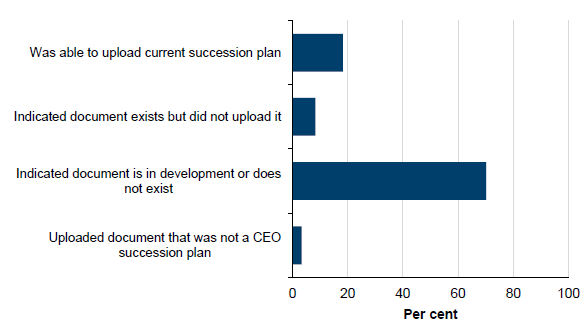 Succession planning for CEOs shown in Figure C18