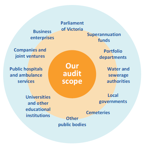 List of types of entities that VAGO audits