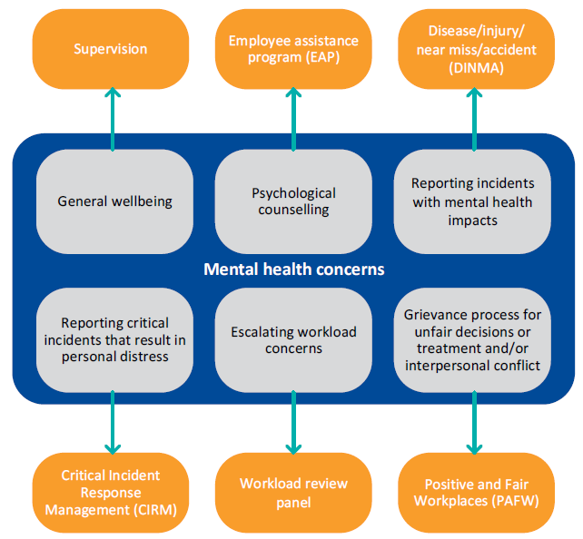 Flowchart showing Avenues for CPPs to raise mental health concerns