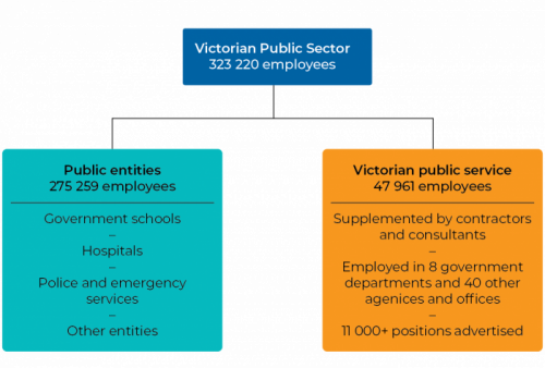 Figure 1A VPS workforce 2018–19