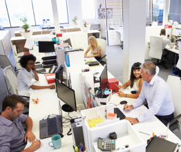 People working in a bright, busy open-plan office.