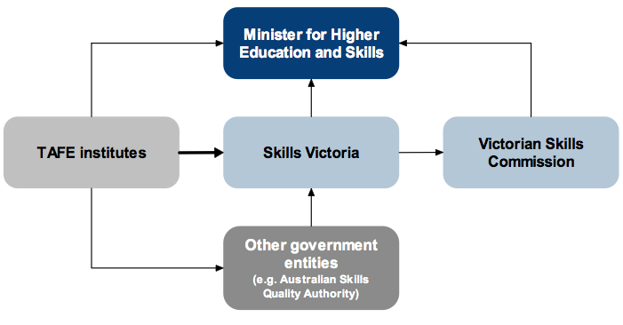 Figure 1A shows TAFE sector reporting lines