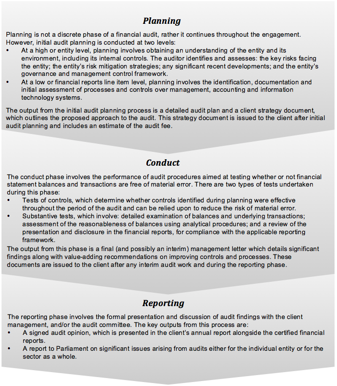 Figure 1B shows Financial audit framework