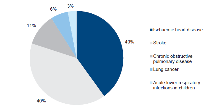 Figure 1C shows deaths caused by outdoor air pollution broken down by the five disease categories of ischaemic heart disease, stroke, chronic obstructive pulmonary disease, lung cancer and acute lower respiratory infections in children.