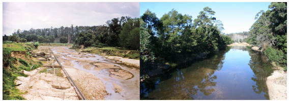 Before and after works on the Cann River. Photographs courtesy of East Gippsland CMA.