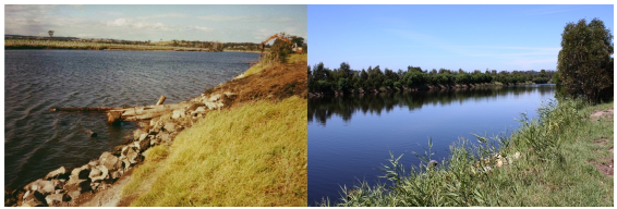 Image shows before and after works on the Lower Tambo River. Photographs courtesy of East Gippsland CMA.