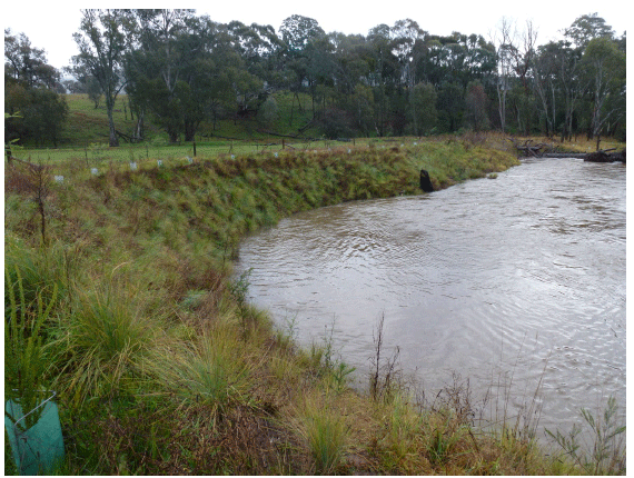 Image shows stock-proof fencing and revegetation on a property on the mid-Goulburn near Swanpool. Photo courtesy of Goulburn Broken CMA.