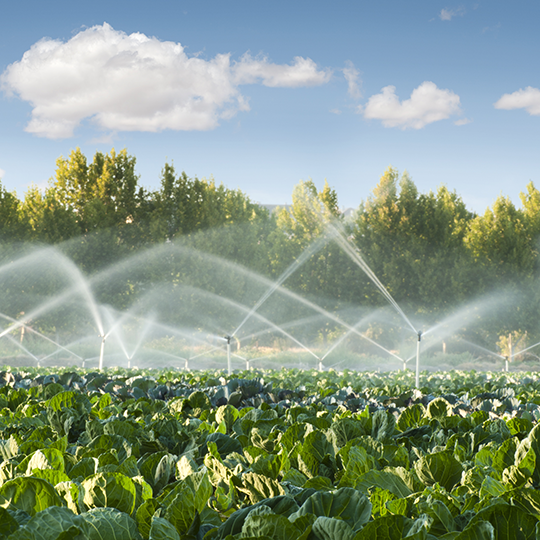 Supporting Changes in Farming Practices: Sustainable Irrigation ...