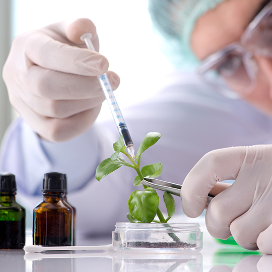 Biotechnology in Victoria: the Public Sector's Investment | Victorian ...