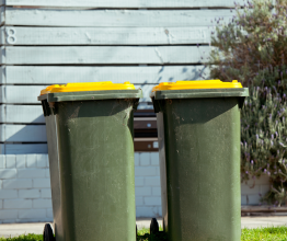 Two yellow-lid recycling bins on a nature strip.